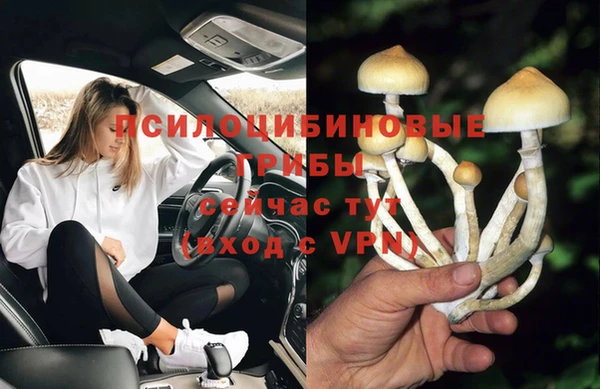 эйфоретик Арсеньев