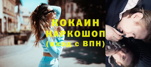 стаф Алзамай