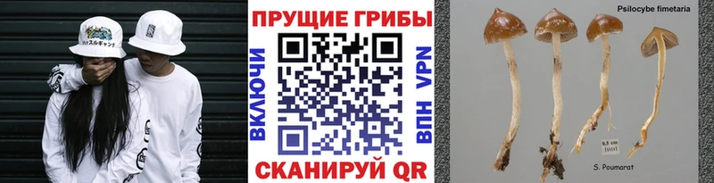 Галлюциногенные грибы мухоморы  купить наркотик  Шахты 